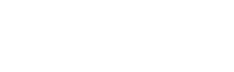 owlestic_logo
